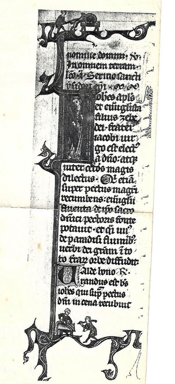 Man forces a dog/fox’s nose down onto a grindstone — additional view 1